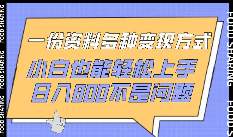 一份资料多种变现方式，小白也能轻松上手，日入800不是问题【揭秘】-时光论坛