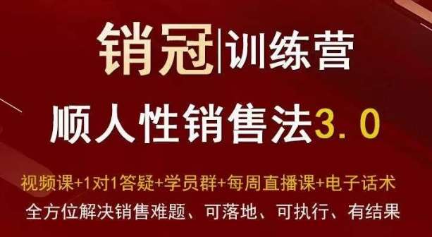 爆款！销冠训练营3.0之顺人性销售法，全方位解决销售难题、可落地、可执行、有结果-时光论坛