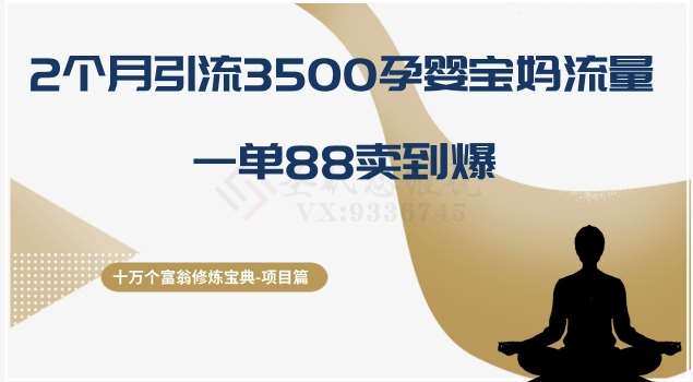 十万个富翁修炼宝典之13.2个月引流3500孕婴宝妈流量，一单88卖到爆-时光论坛