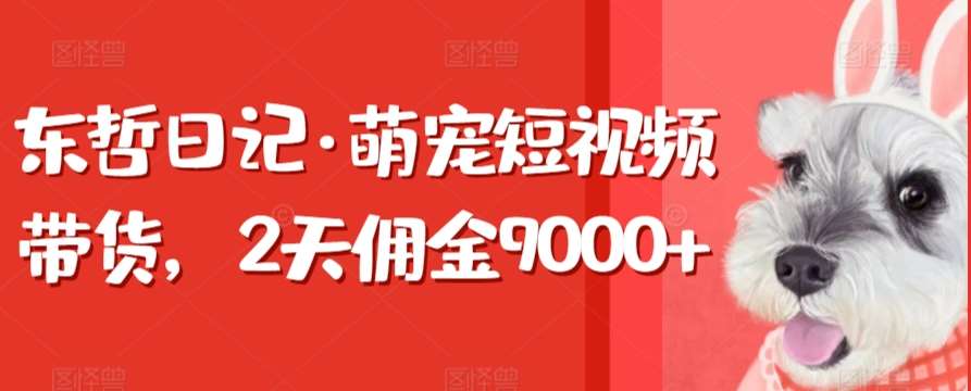 东哲日记·萌宠短视频带货，2天佣金9000+-时光论坛