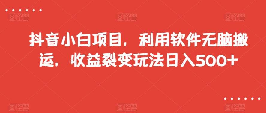 抖音小白项目，利用软件无脑搬运，收益裂变玩法日入500+【揭秘】-时光论坛