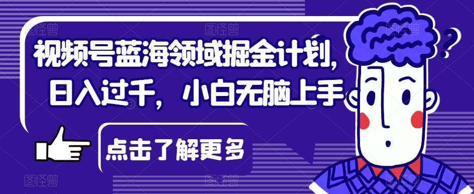 视频号蓝海领域掘金计划，日入过千，小白无脑上手【揭秘】-时光论坛