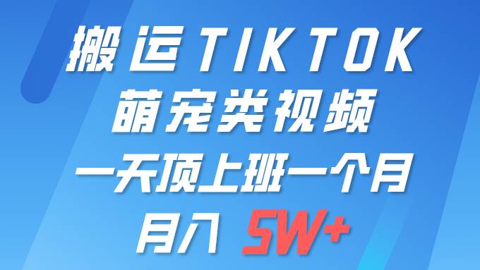 （9931期）一键搬运TIKTOK萌宠类视频 一部手机即可操作 所有平台均可发布 轻松月入5W+-时光论坛