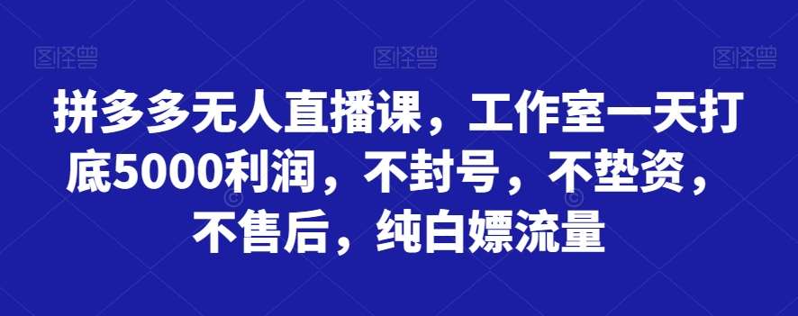 拼多多无人直播课，工作室一天打底5000利润，不封号，不垫资，不售后，纯白嫖流量-时光论坛