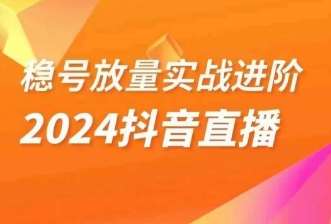 稳号放量实战进阶—2024抖音直播，直播间精细化运营的几大步骤-时光论坛
