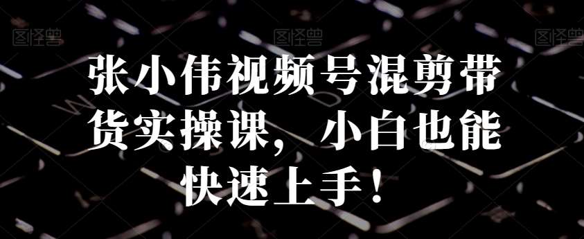 张小伟视频号混剪带货实操课，小白也能快速上手！-时光论坛