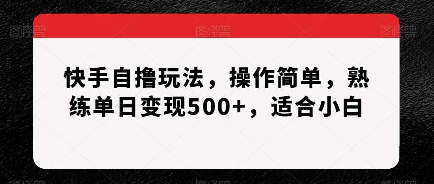 快手自撸玩法，操作简单，熟练单日变现500+，适合小白【揭秘】-时光论坛