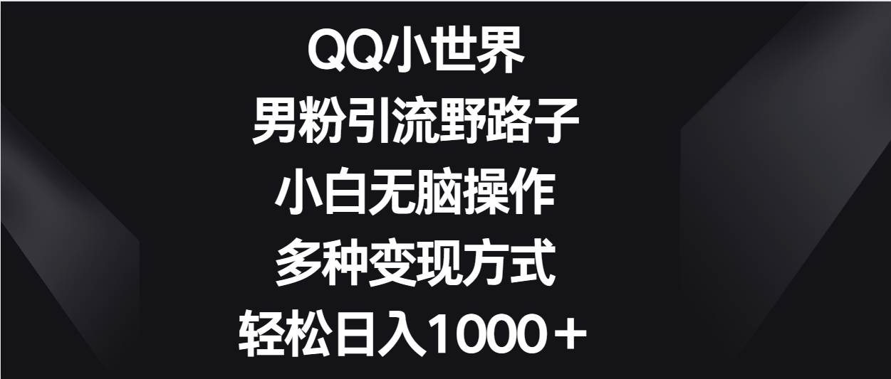 QQ小世界男粉引流野路子，小白无脑操作，多种变现方式轻松日入1000＋-时光论坛