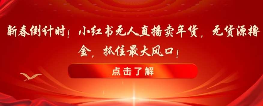 新春倒计时！小红书无人直播卖年货，无货源撸金，抓住最大风口【揭秘】-时光论坛