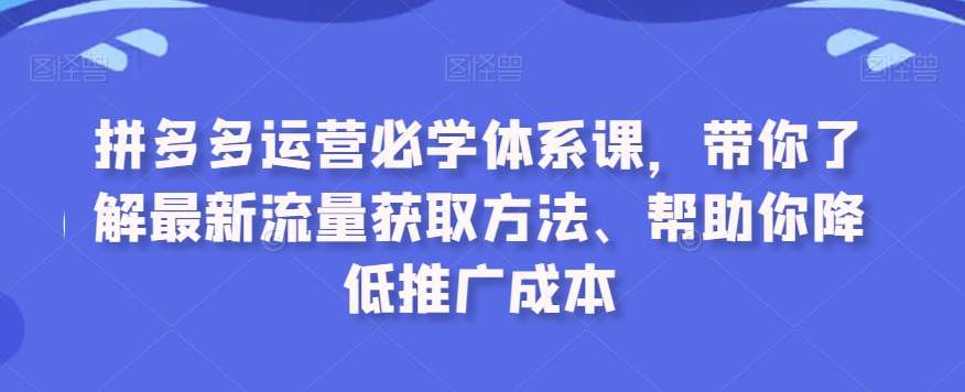 拼多多运营必学体系课，带你了解最新流量获取方法、帮助你降低推广成本-时光论坛