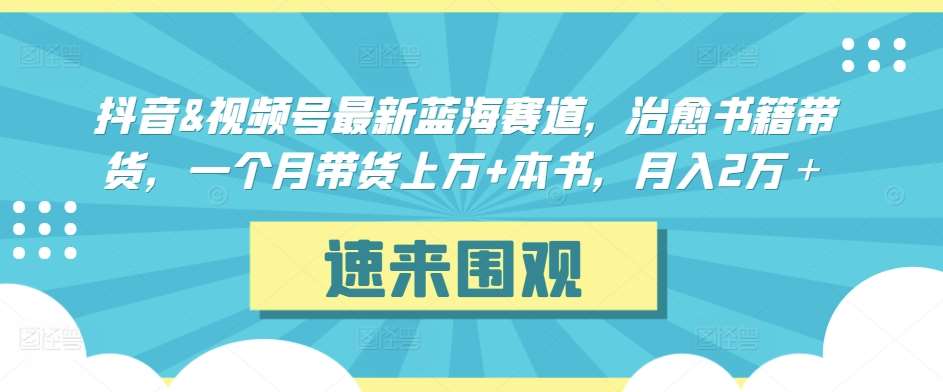 抖音&视频号最新蓝海赛道，治愈书籍带货，一个月带货上万+本书，月入2万＋【揭秘】-时光论坛