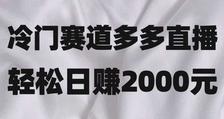 冷门赛道拼多多直播，简单念稿子，日收益2000＋【揭秘】-时光论坛
