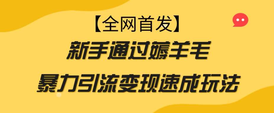 【全网首发】新手通过薅羊毛暴力引流变现速成玩法-时光论坛