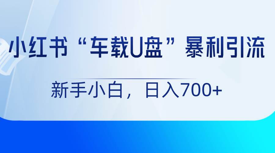 小红书“车载U盘”项目，暴利引流，新手小白轻松日入700+-时光论坛