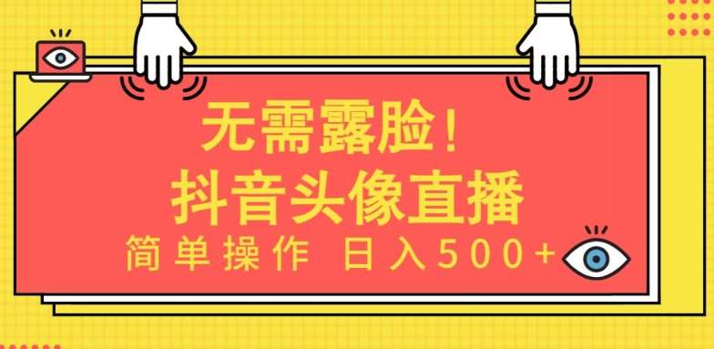 无需露脸，Ai头像直播项目，简单操作日入500+【揭秘】-时光论坛