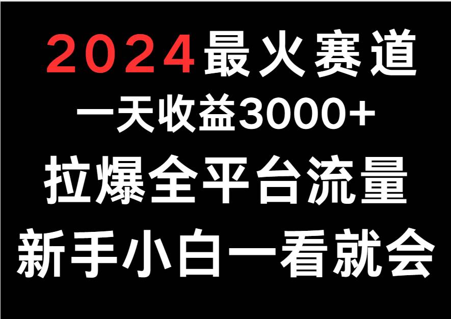 2024最火赛道，一天收一3000+.拉爆全平台流量，新手小白一看就会-时光论坛