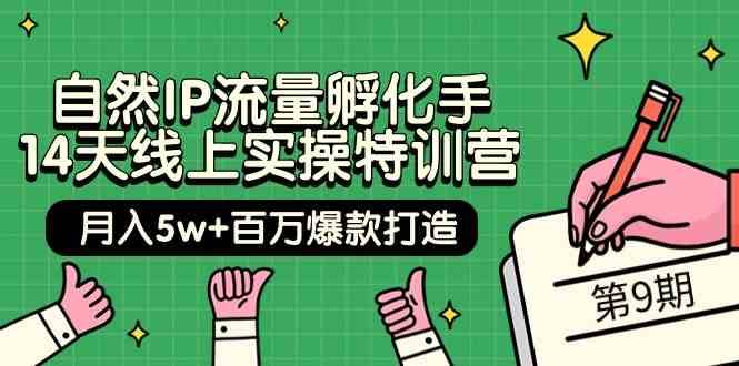 自然IP流量孵化手14天线上实操特训营【第9期】月入5w+百万爆款打造 (74节)-时光论坛