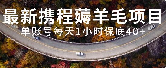 （7995期）最新携程薅羊毛项目，单账号每天1小时保底收益40+，可矩阵操作-时光论坛