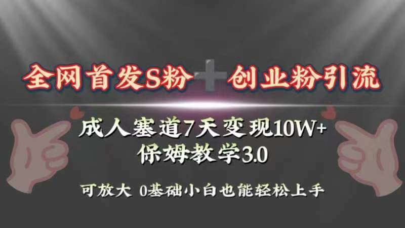 （8337期）全网首发s粉加创业粉引流变现，成人用品赛道7天变现10w+保姆教学3.0-时光论坛