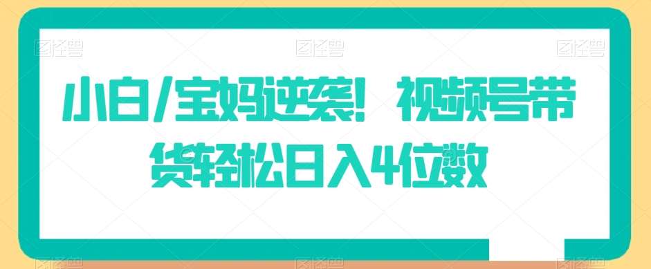 小白/宝妈逆袭！视频号带货轻松日入4位数【揭秘】-时光论坛