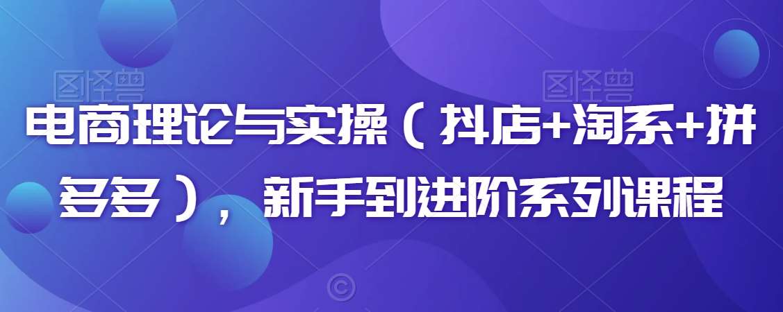 电商理论与实操（抖店+淘系+拼多多），新手到进阶系列课程-时光论坛