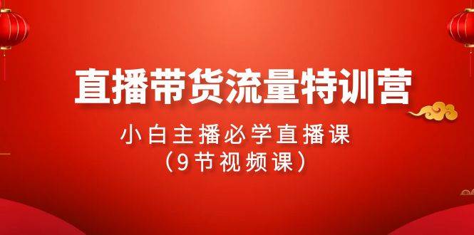 2024直播带货流量特训营，小白主播必学直播课（9节视频课）-时光论坛