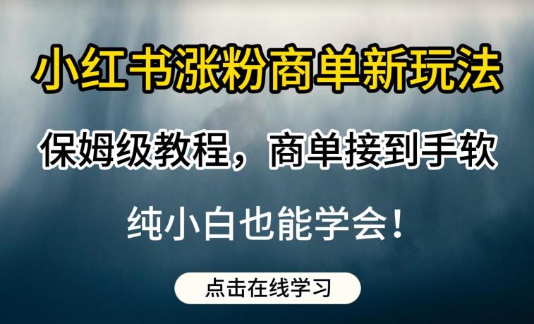 小红书涨粉商单新玩法，保姆级教程，商单接到手软，纯小白也能学会【揭秘】-时光论坛