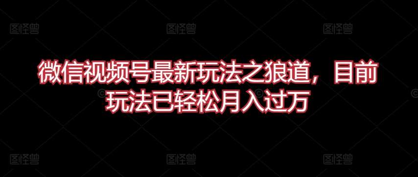 微信视频号最新玩法之狼道，目前玩法已轻松月入过万【揭秘】-时光论坛