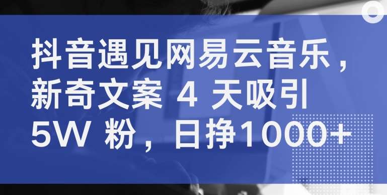 抖音遇见网易云音乐，新奇文案 4 天吸引 5W 粉，日挣1000+【揭秘】-时光论坛