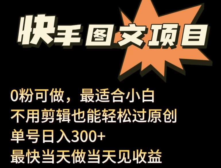 24年最新快手图文带货项目，零粉可做，不用剪辑轻松过原创单号轻松日入300+【揭秘】-时光论坛
