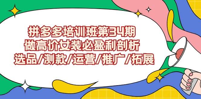 （9333期）拼多多培训班第34期：做高价女装必盈利剖析  选品/测款/运营/推广/拓展-时光论坛