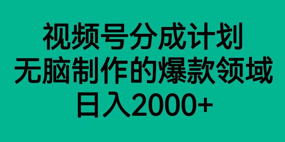 视频号分成计划，轻松无脑制作的爆款领域，日入2000+-时光论坛