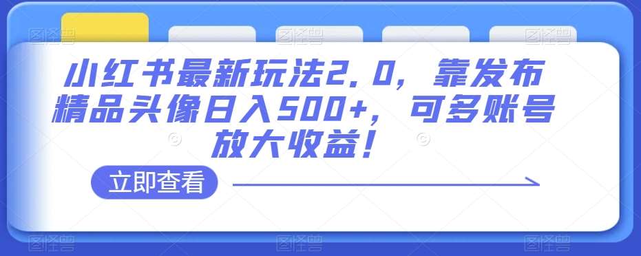 小红书最新玩法2.0，靠发布精品头像日入500+，可多账号放大收益！【揭秘】-时光论坛