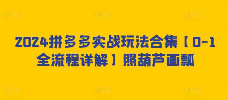 2024拼多多实战玩法合集【0-1全流程详解】照葫芦画瓢-时光论坛
