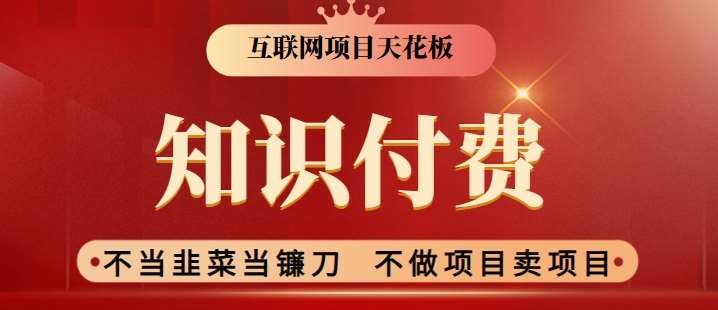 2024互联网项目天花板，新手小白也可以通过知识付费月入10W，实现财富自由【揭秘】-时光论坛