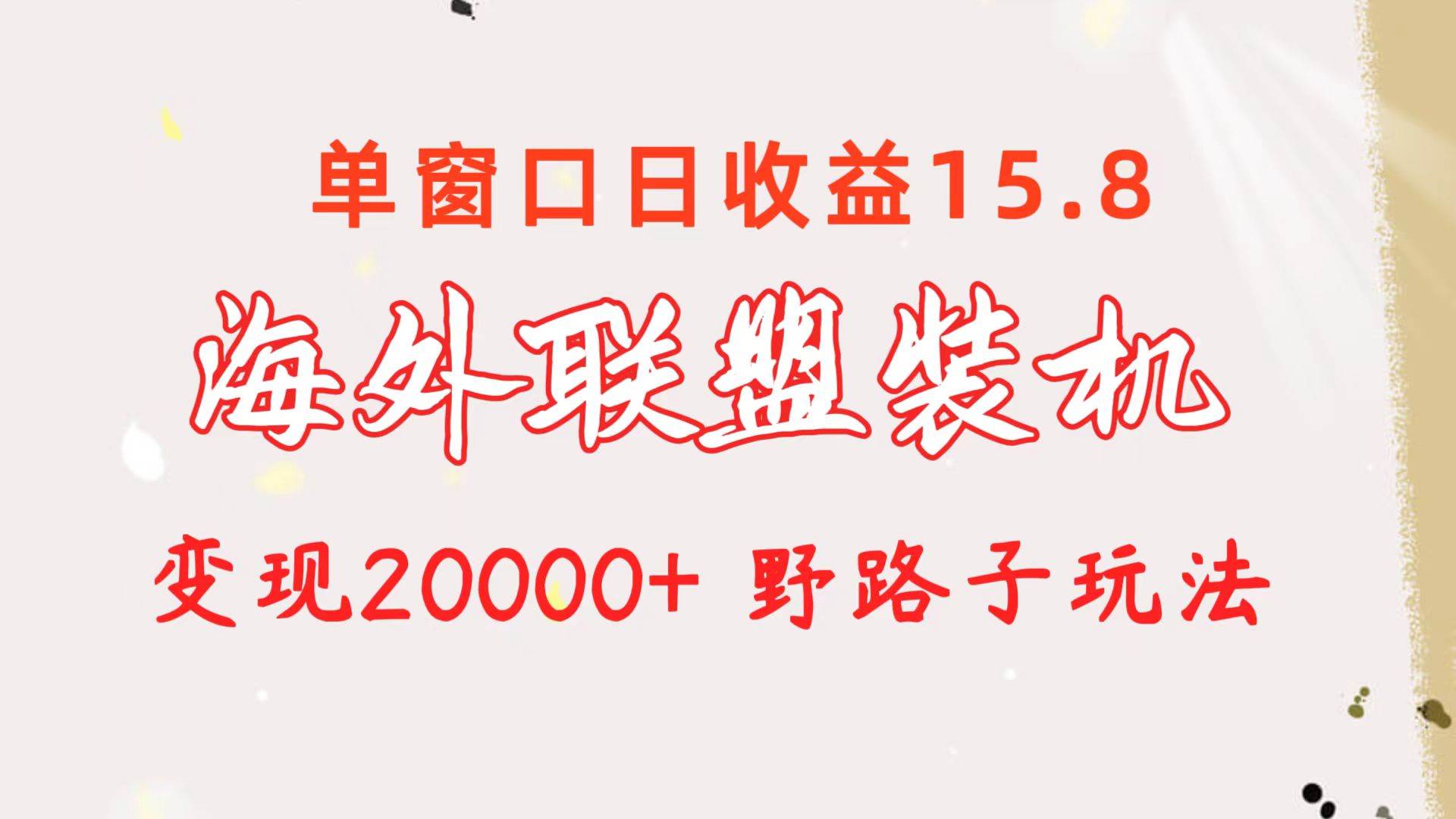 （10475期）海外联盟装机 单窗口日收益15.8  变现20000+ 野路子玩法-时光论坛