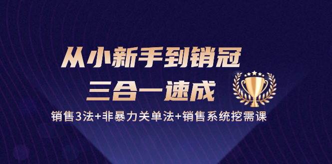 从小新手到销冠三合一速成：销售3法+非暴力关单法+销售系统挖需课 (27节)-时光论坛