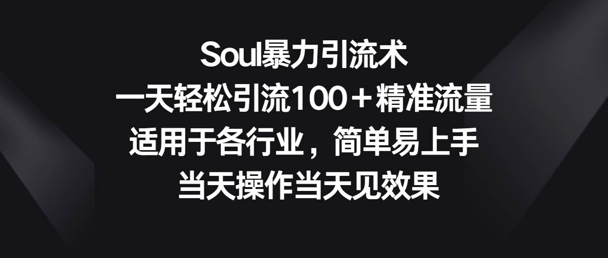 Soul暴力引流术，一天轻松引流100＋精准流量，适用于各行业，简单易上手！-时光论坛