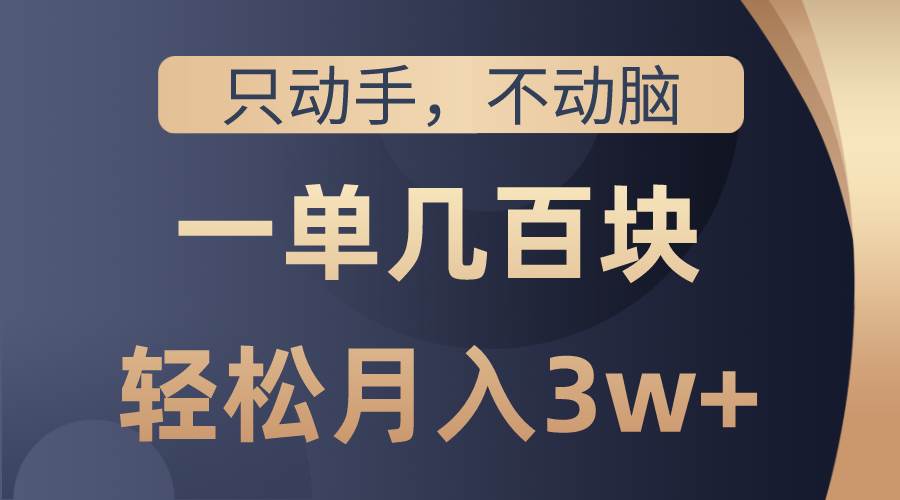 （10561期）只动手不动脑，一单几百块，轻松月入3w+，看完就能直接操作，详细教程-时光论坛