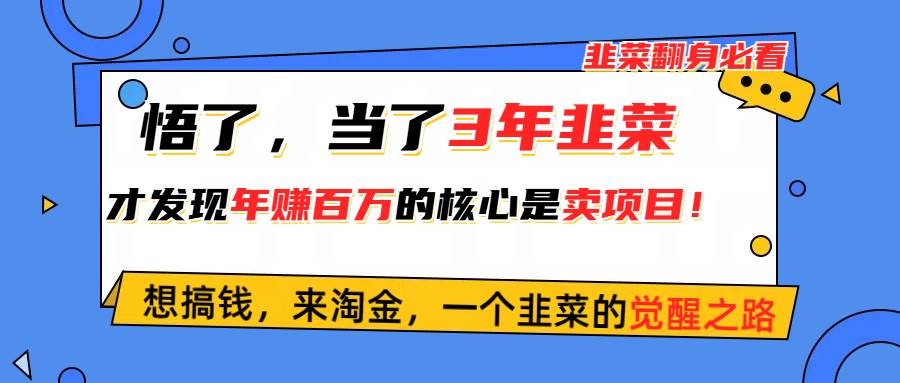（10759期）悟了，当了3年韭菜，才发现网赚圈年赚100万的核心是卖项目，含泪分享！-时光论坛