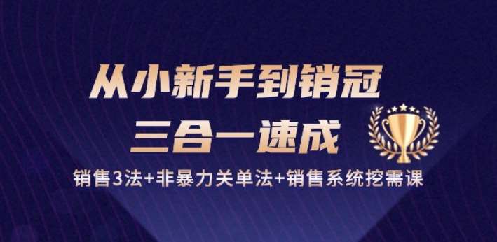 从小新手到销冠 三合一速成：销售3法+非暴力关单法+销售系统挖需课 (27节)-时光论坛