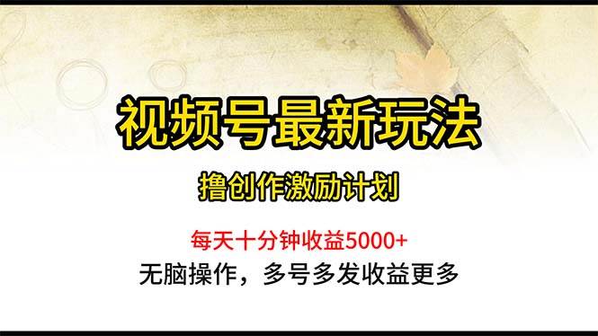 （10591期）视频号最新玩法，每日一小时月入5000+-时光论坛