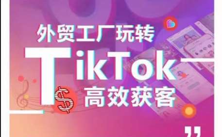 外贸工厂玩转TikTok高效获客，多种引流方式与账号定位技巧，拆解爆款短视频打造成功案例-时光论坛