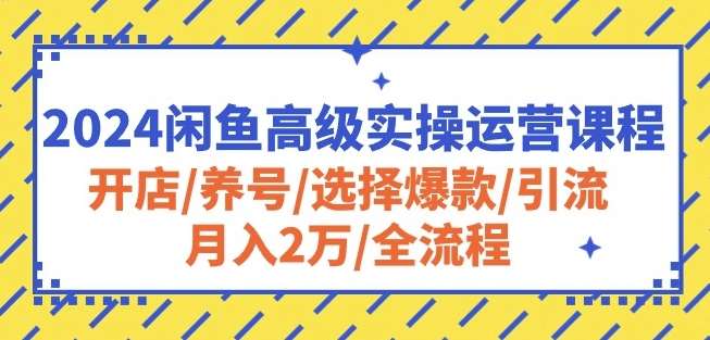 2024闲鱼高级实操运营课程：开店/养号/选择爆款/引流/月入2万/全流程-时光论坛