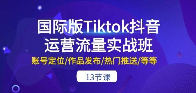 国际版Tiktok抖音运营流量实战班：账号定位/作品发布/热门推送/等等-13节-时光论坛