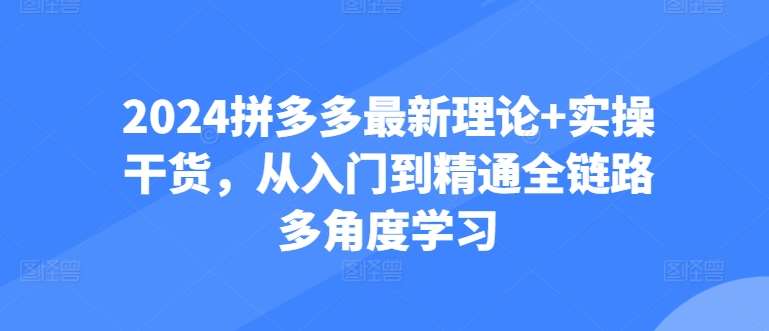 2024拼多多最新理论+实操干货，从入门到精通全链路多角度学习-时光论坛