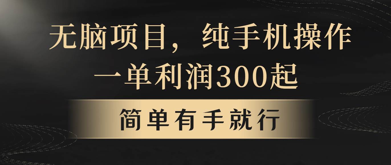 （10589期）无脑项目，一单几百块，轻松月入5w+，看完就能直接操作-时光论坛