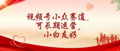 视频号小众赛道，可长期运营，小白友好【揭秘】-时光论坛