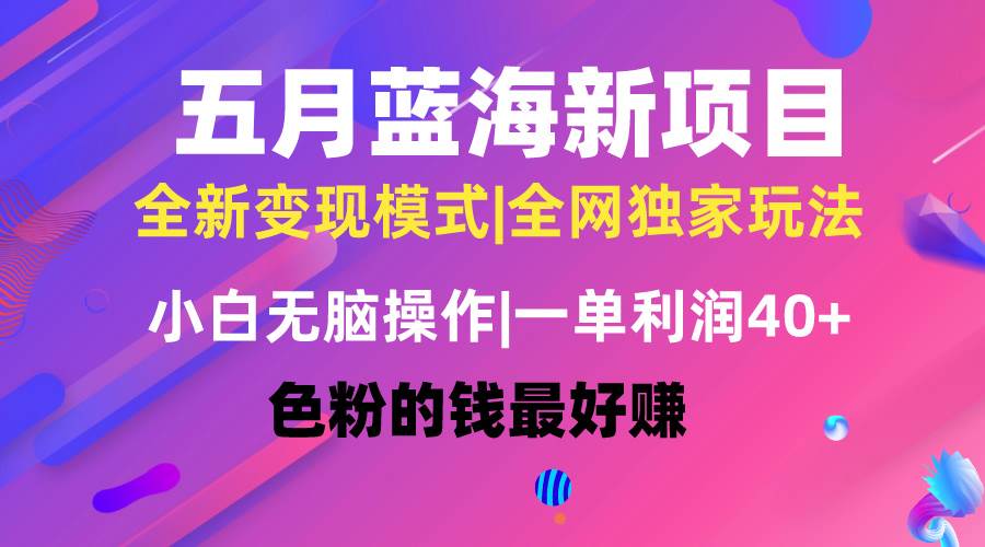 （10477期）五月蓝海项目全新玩法，小白无脑操作，一天几分钟，矩阵操作，月入4万+-时光论坛