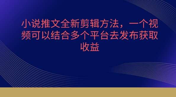 小说推文全新剪辑方法，一个视频可以结合多个平台去发布获取【揭秘】-时光论坛